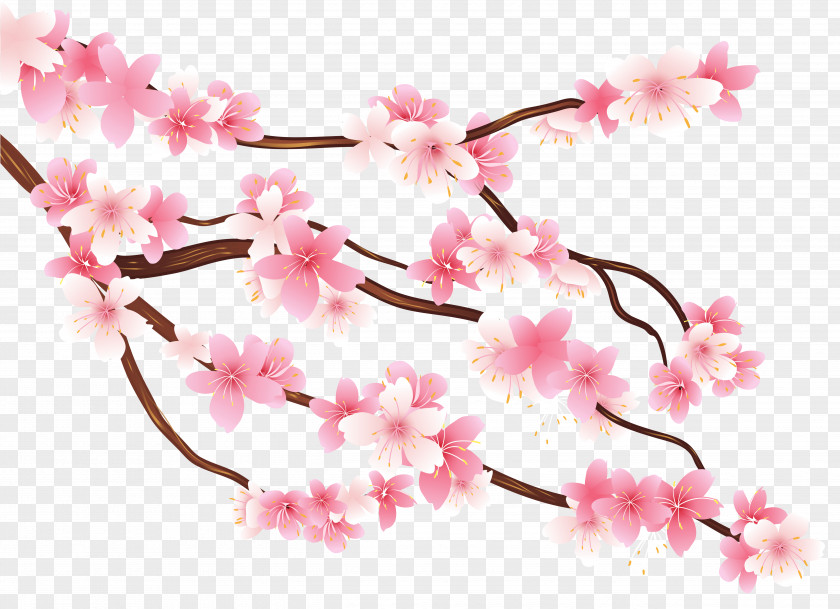 Pink Spring Branch Clipart Image Diagram Clip Art PNG