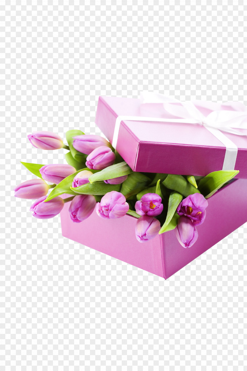 Tulips And Gift Wrapping Tulip Flower Bouquet Box PNG