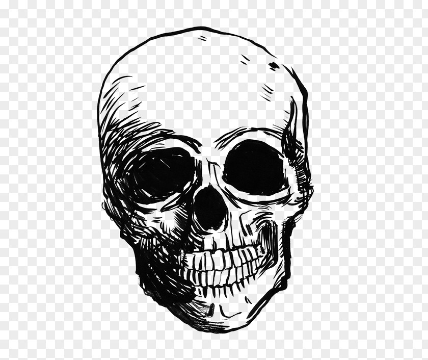 Wine /m/02csf Jaw Skull Drawing PNG