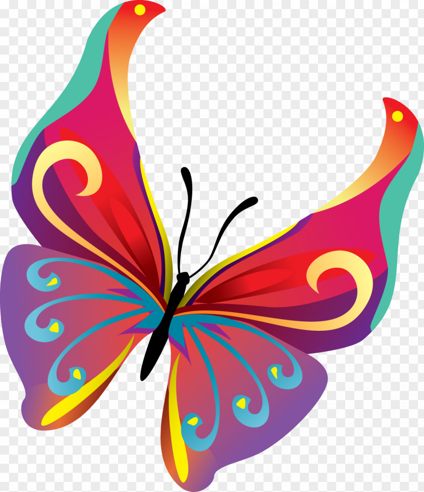 Butterfly Vector Graphics Clip Art Image Drawing PNG