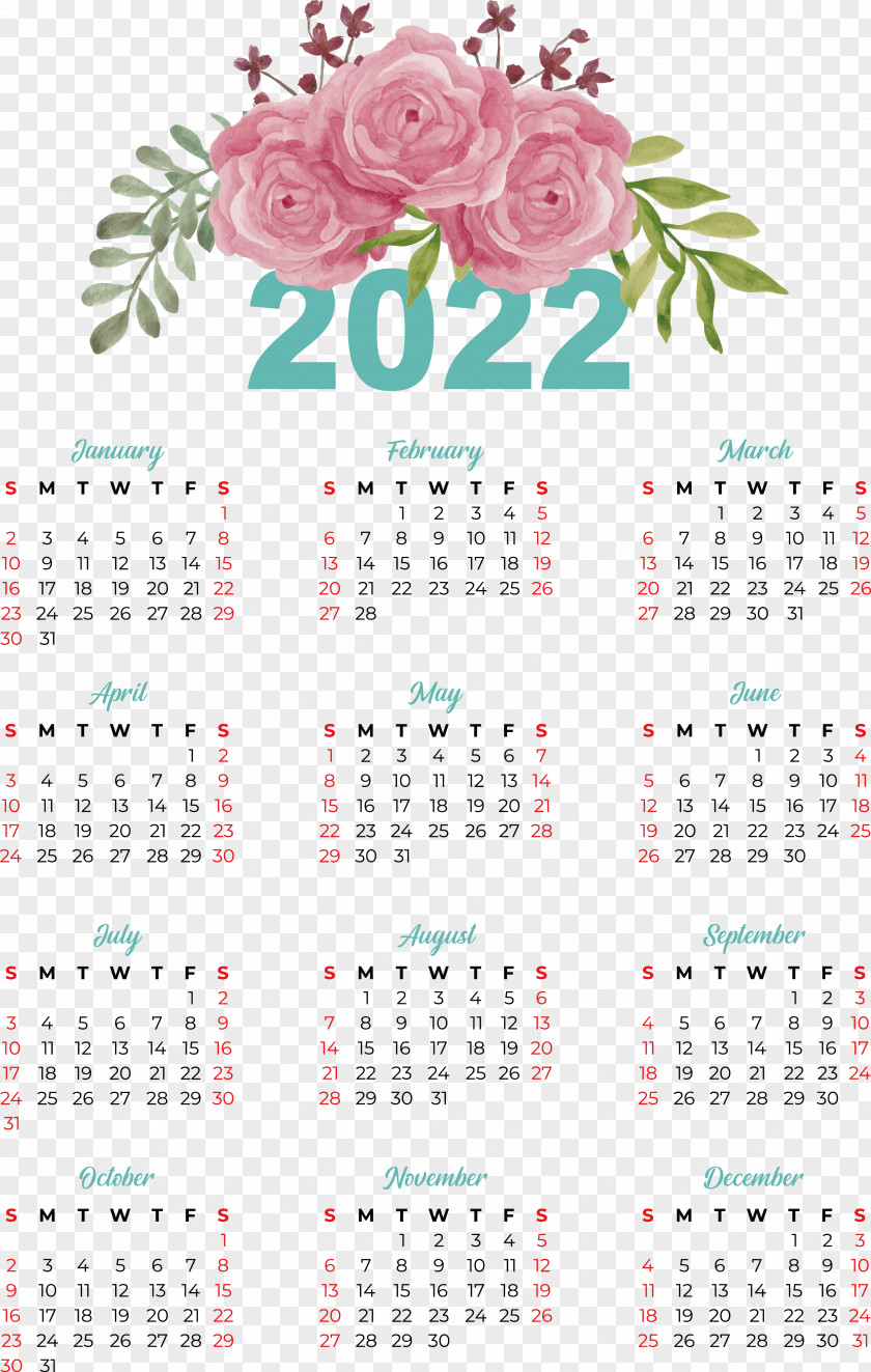 Calendar Font Meter Plant Biology PNG