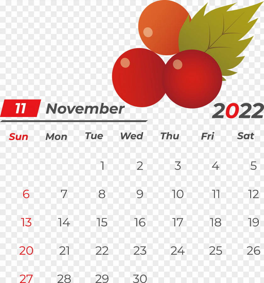 Calendar Line Font Meter Fruit PNG