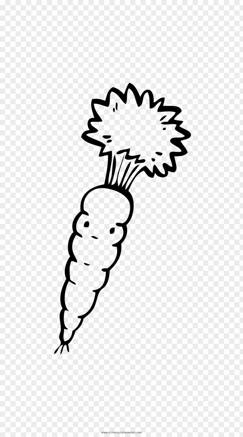 Carrot Coloring Book Drawing Black And White PNG