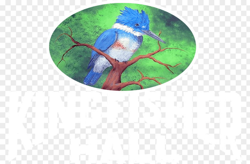 Christmas Macaw Cobalt Blue Beak Ornament PNG