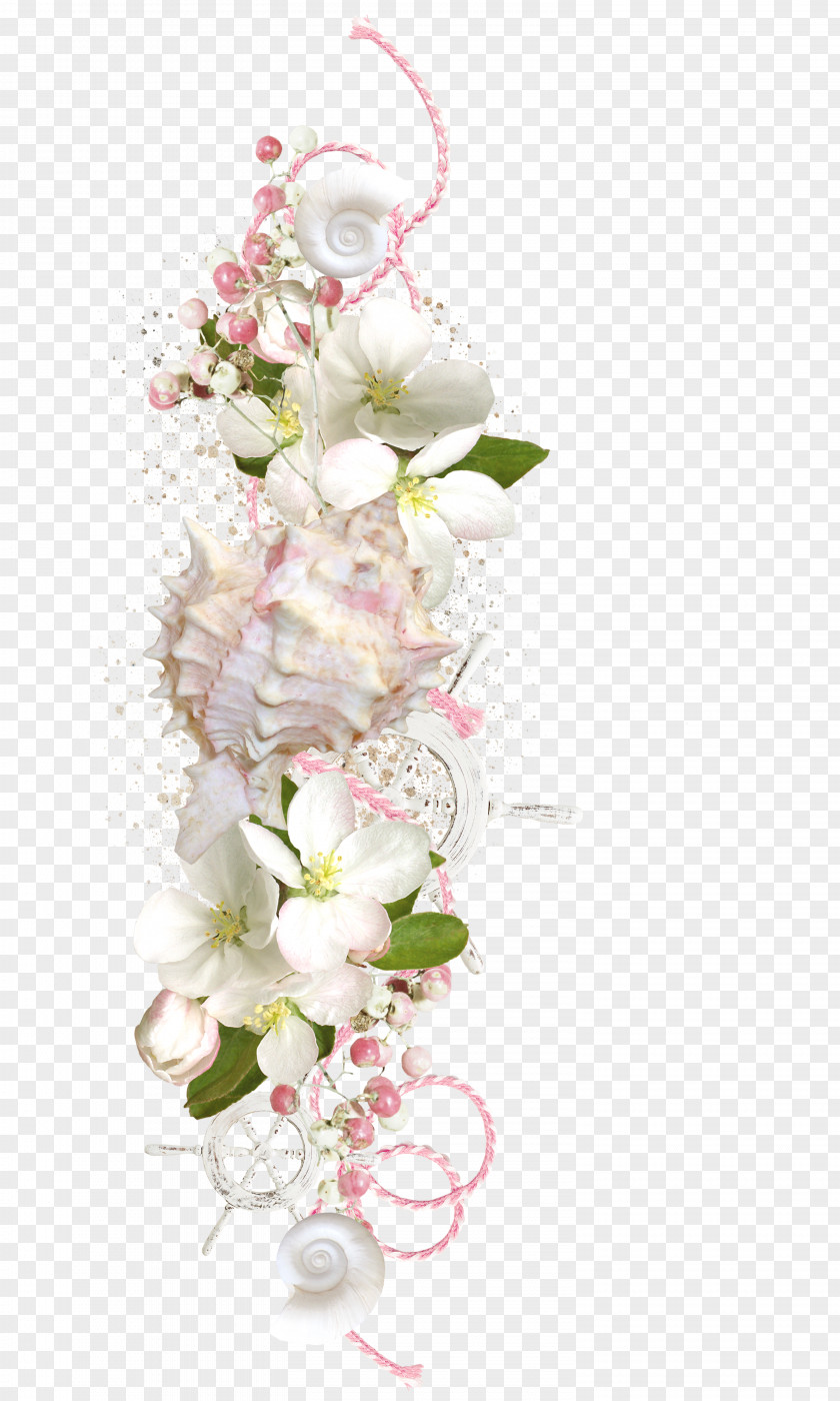 Conch Decoration Picture Frame Photography PNG