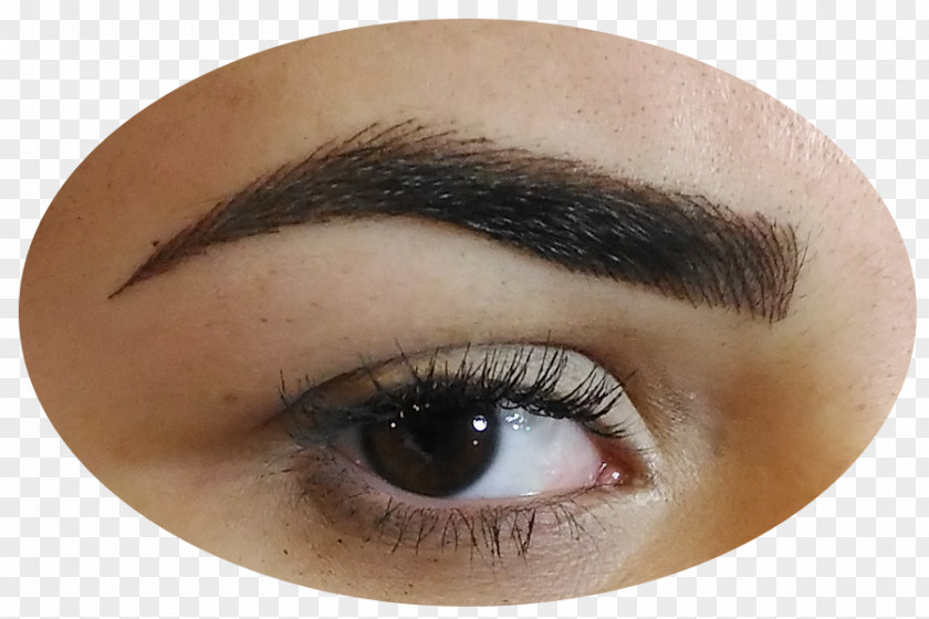 Eye Permanent Makeup Shadow Eyelash Extensions Liner Eyebrow PNG