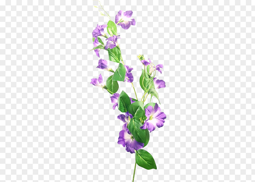 -painted Floral Material Flower Lavender Violet Lilac Design PNG