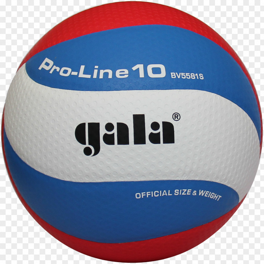 Volleyball Beach Sport Handball PNG