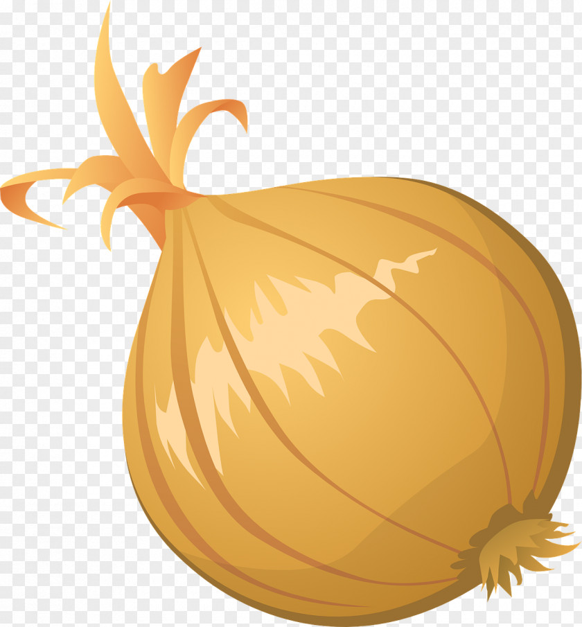 Yellow Onion Hamburger Free Content Clip Art PNG