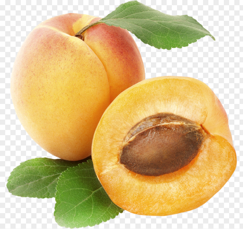 Apricot Fruit Clip Art PNG