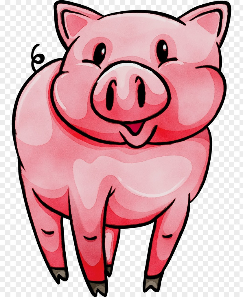 Domestic Pig Nose Cartoon Pink Clip Art Snout Suidae PNG