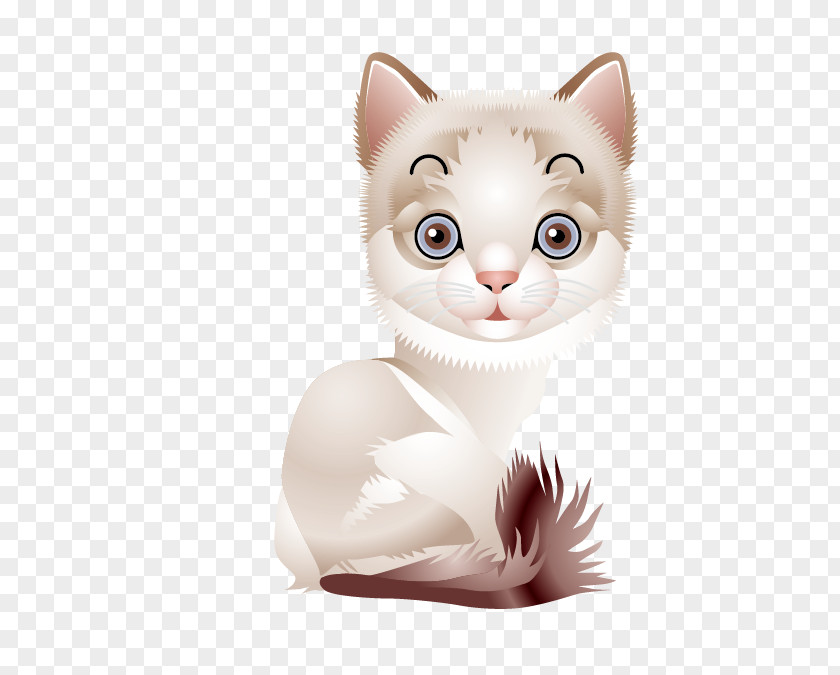 Hand Painted Cute White Kitten Material Persian Cat Puppy Clip Art PNG