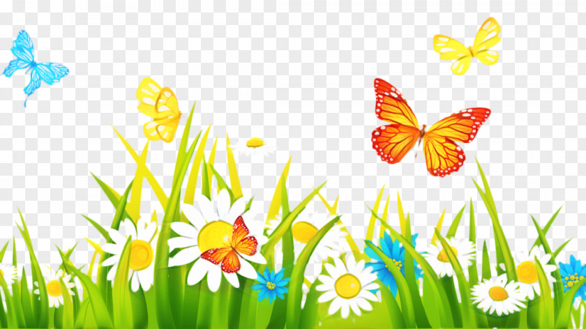 Pollinator Insect Summer Flower Background PNG