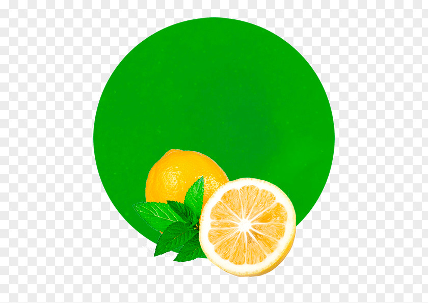 Seedless Fruit Mandarin Orange Green Leaf Background PNG