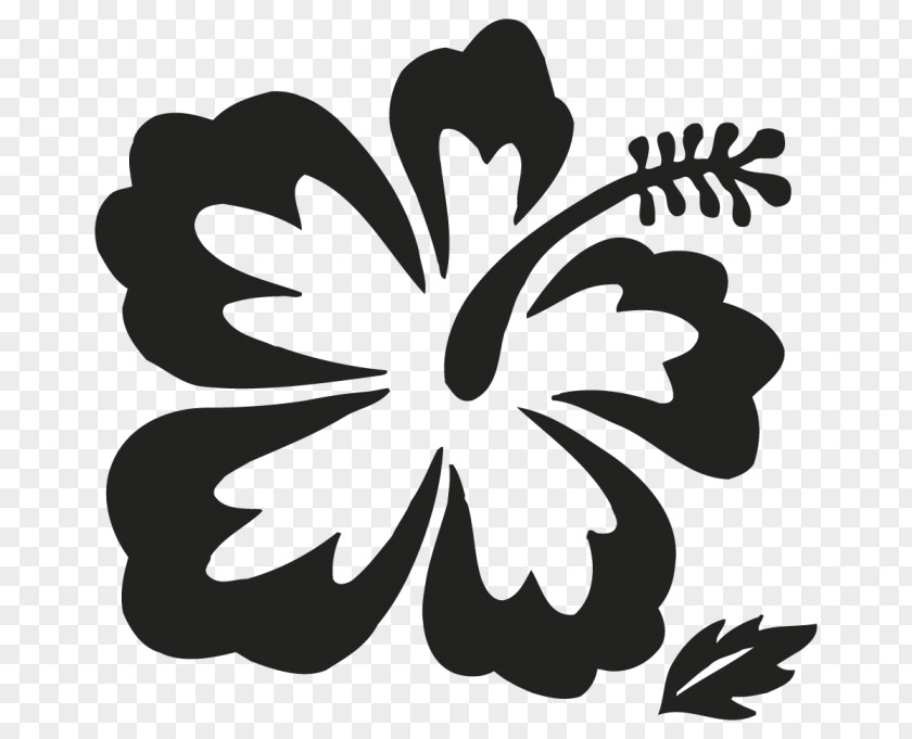 Design Hawaii Flower Drawing Clip Art PNG