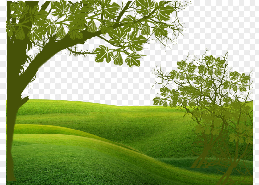 Under The Shade Of Green Fields Euclidean Vector PNG