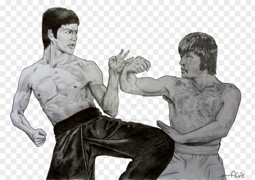 Chuck Norris Drawing Work Of Art Artist Striking Combat Sports PNG