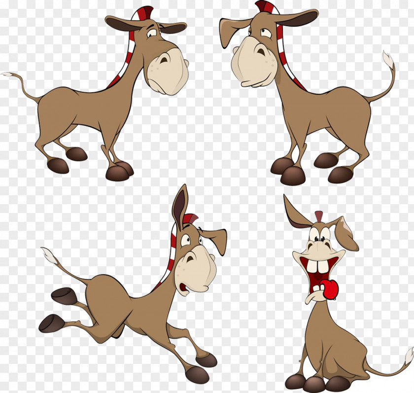 Donkey Activities Drawing Animation Illustration PNG