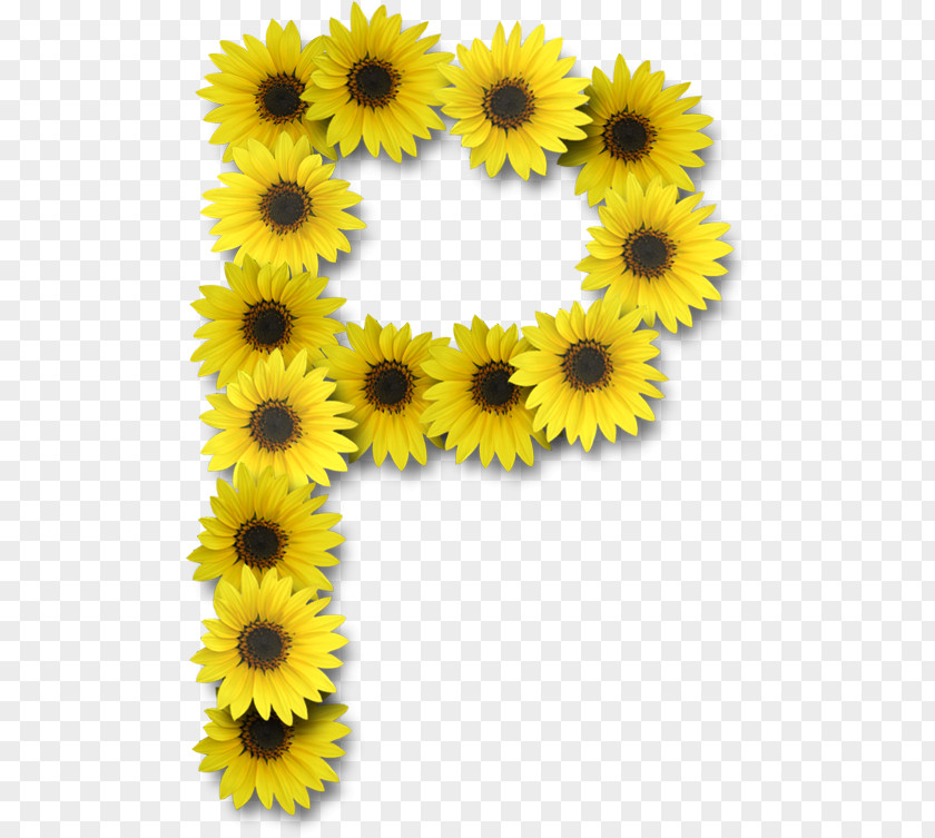 Initials Letter Alphabet J PNG