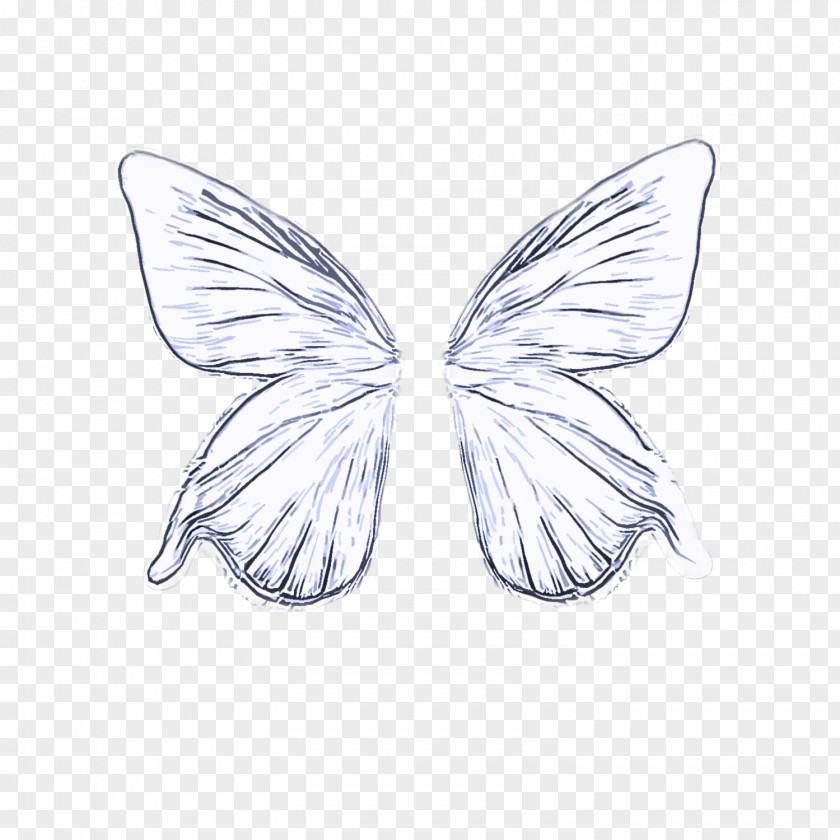 Pieridae Drawing Butterfly Wing Moths And Butterflies Insect Line Art PNG