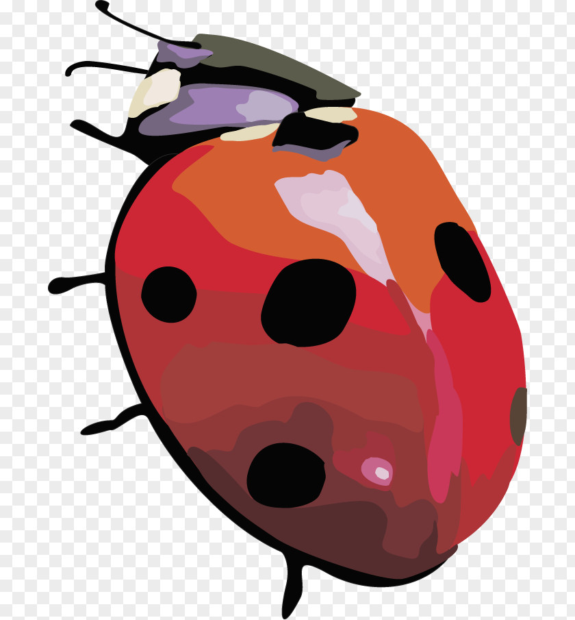 Vector Beetle,Insect Ladybird Beetle Coccinella Septempunctata PNG