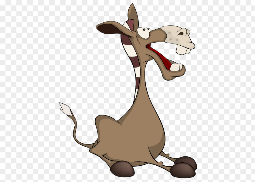 Vector Cartoon Donkey Sitting Funny Animal Illustration PNG