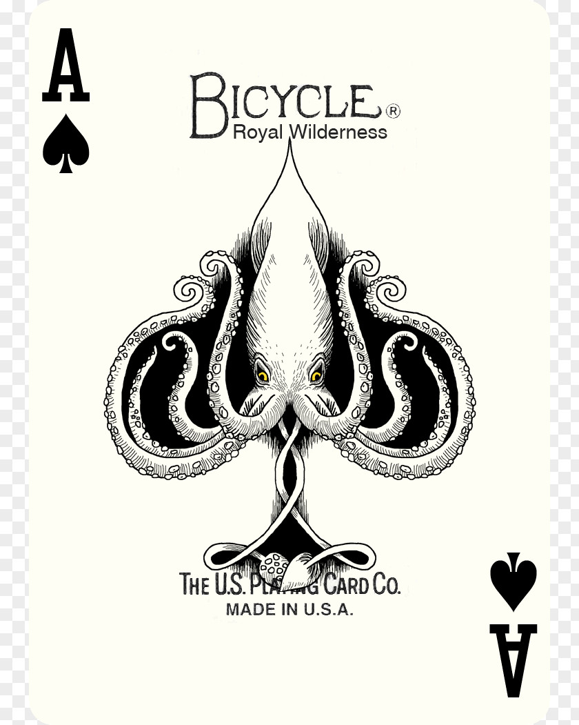 Ace Of Spades Playing Card Suit PNG