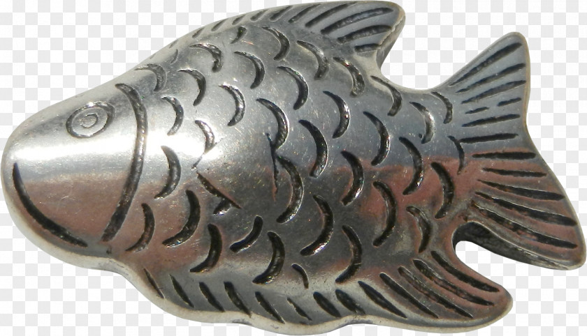 Iron Fish Euclidean Vector PNG