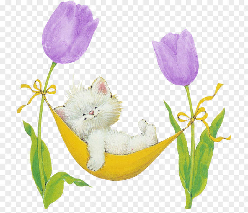 Purple Tulips Cat Afrikaans Whiskers Kitten Pin PNG