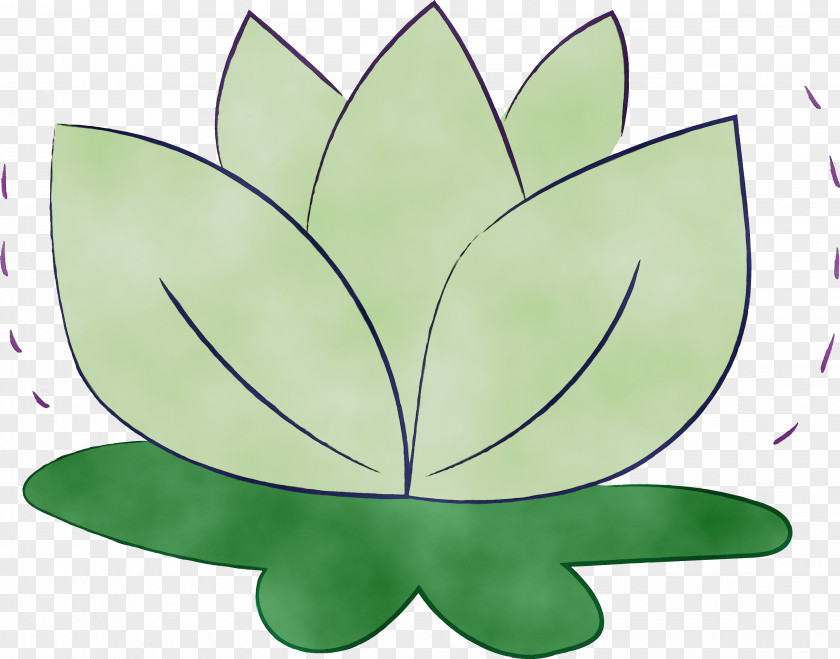 Leaf Flower Green M-tree Symmetry PNG