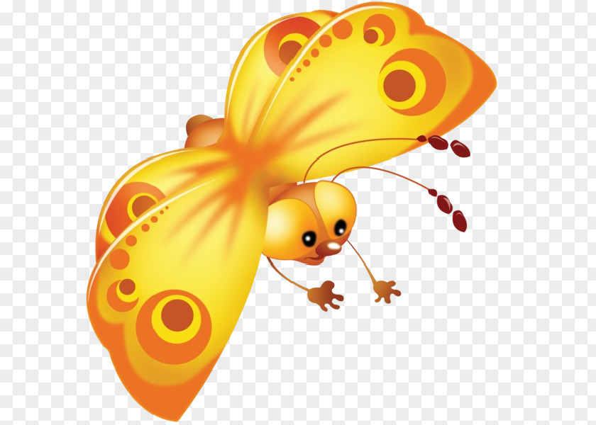 Cute Insects Butterfly Cartoon Drawing Clip Art PNG
