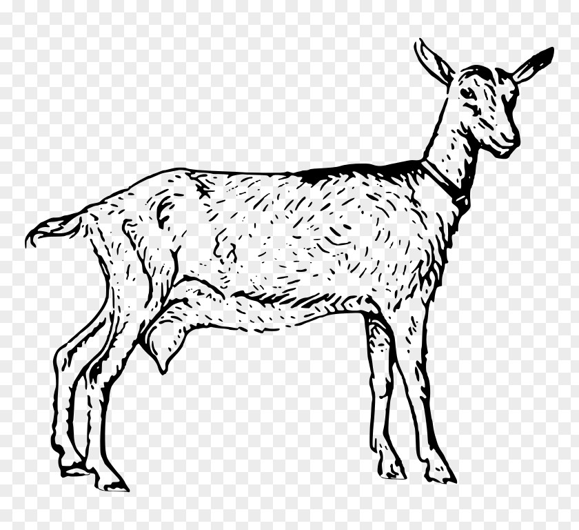 Goat Goats Clip Art PNG