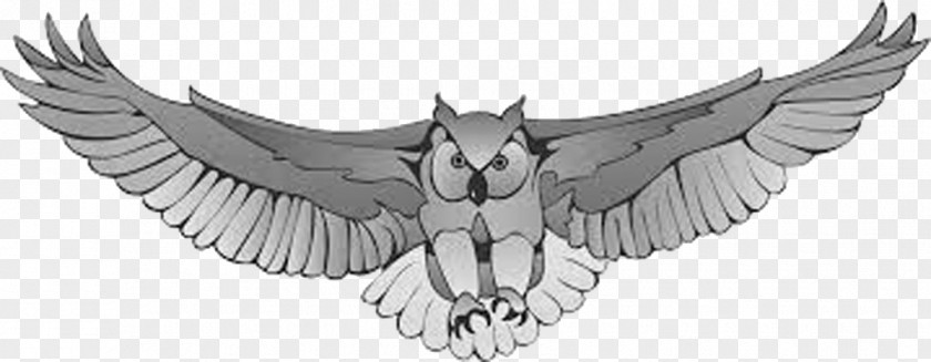 Owl Great Horned Harry Potter Drawing Clip Art PNG