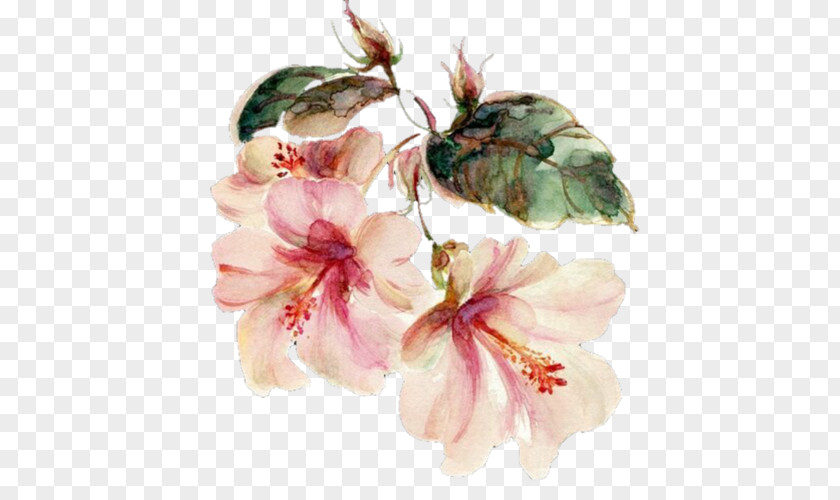 Painting Watercolor Watercolour Flowers Image Floral Design PNG