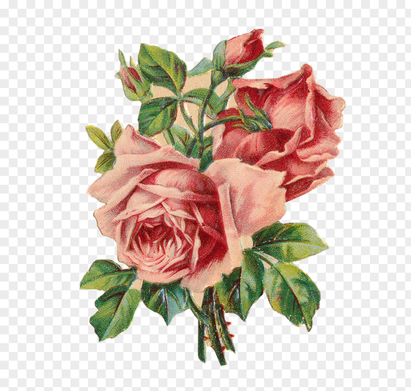 Rose Paper Wedding Invitation Clip Art PNG