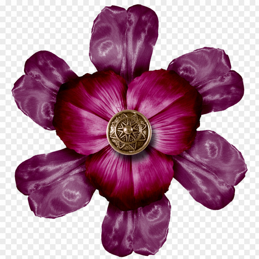 Vintage Flower 0 Plant Violet November PNG