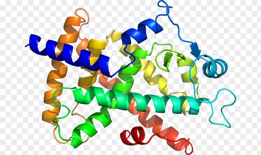 Clip Art Nucleic Acid Protein Structure Amino PNG