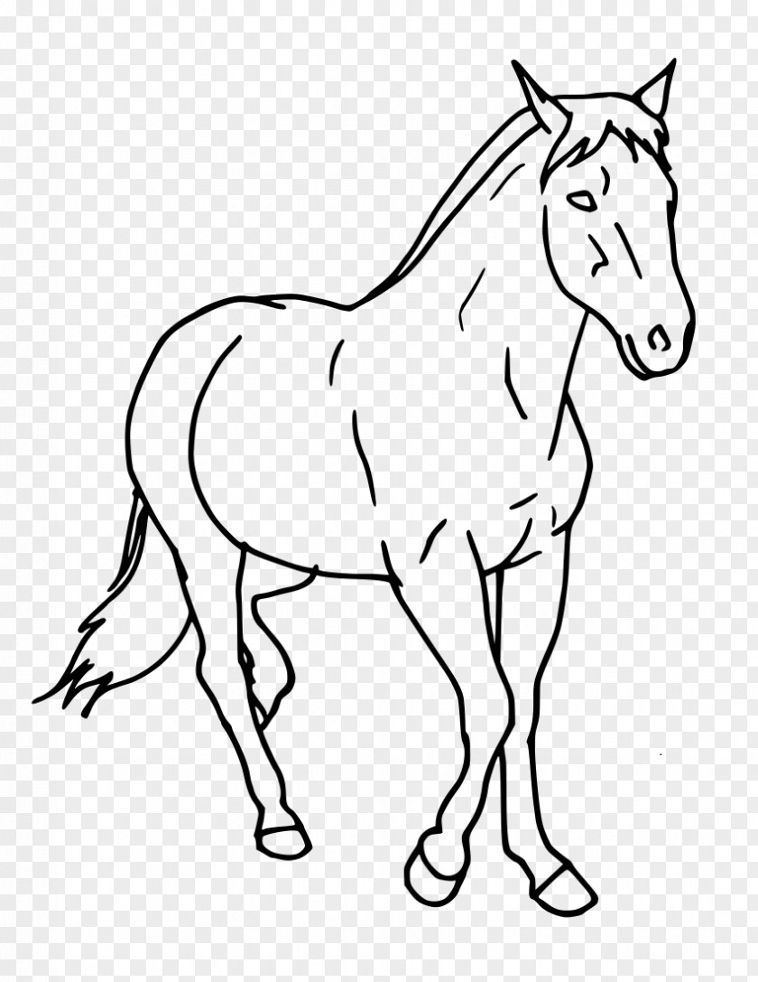 Draw Tennessee Walking Horse Howrse Drawing Equestrian Clip Art PNG