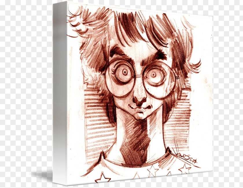 Harry Porter Glasses Potter And The Half-Blood Prince Drawing Cartoon Sketch PNG