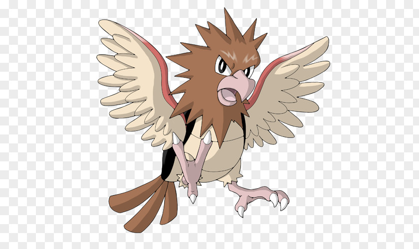 Owl Spearow Fearow Nidoking PNG