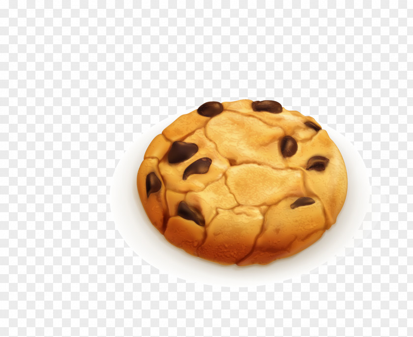Biscuit Chocolate Chip Cookie Sugar PNG