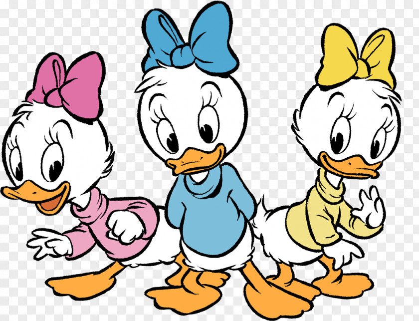 Donald Duck Daisy Huey, Dewey And Louie Mickey Mouse PNG
