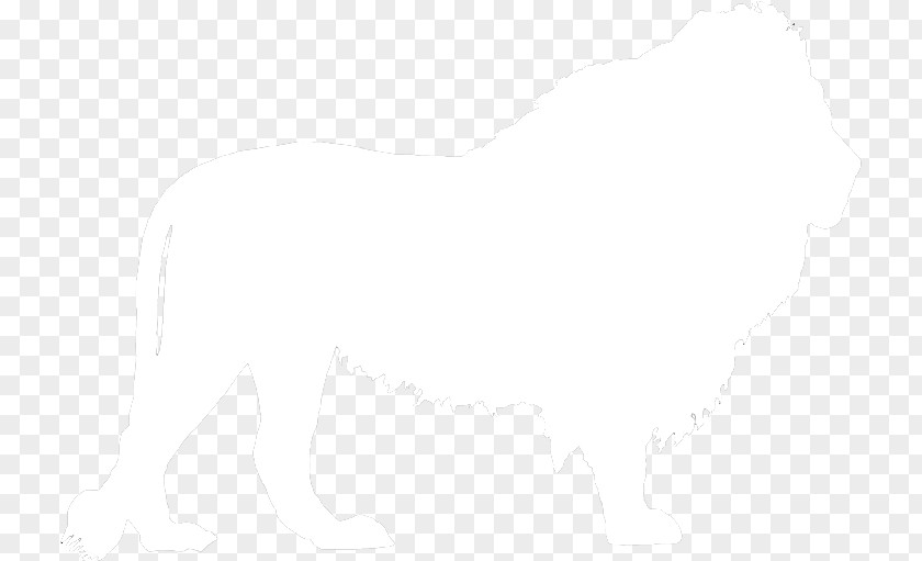 Lion Head Drawing Black And White Monochrome Sketch PNG