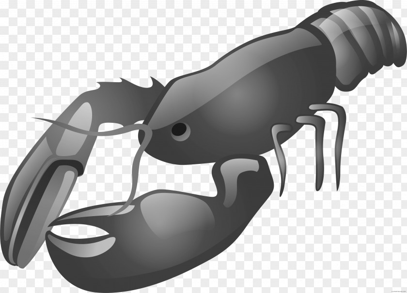 Lobster Clip Art Openclipart Illustration Vector Graphics PNG