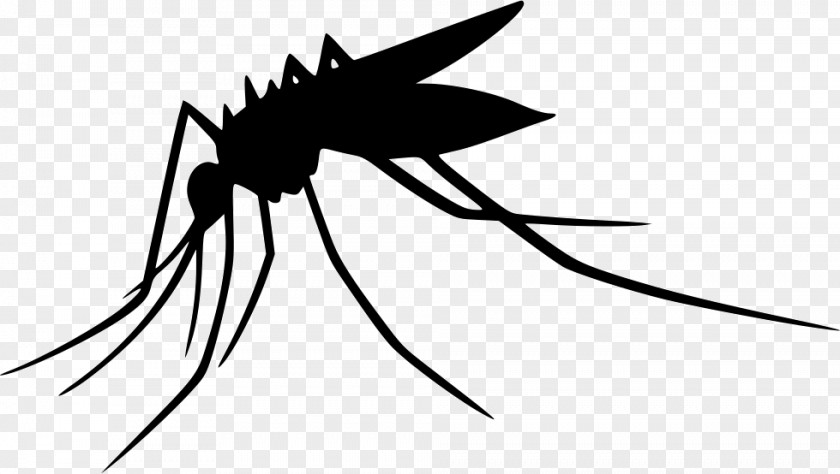 Mosquito Clip Art PNG