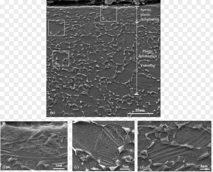 Particles Shot Peening Material Nitriding Scanning Electron Microscope PNG