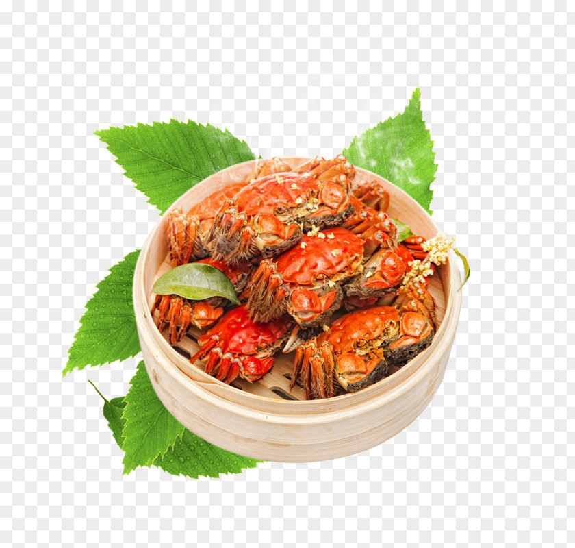 Product Kind Golden Crab Steamer Green Leaves Yangcheng Lake Chinese Mitten Seafood Gucheng PNG