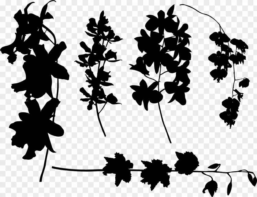 Twig Plant Stem Leaf Pattern Font PNG