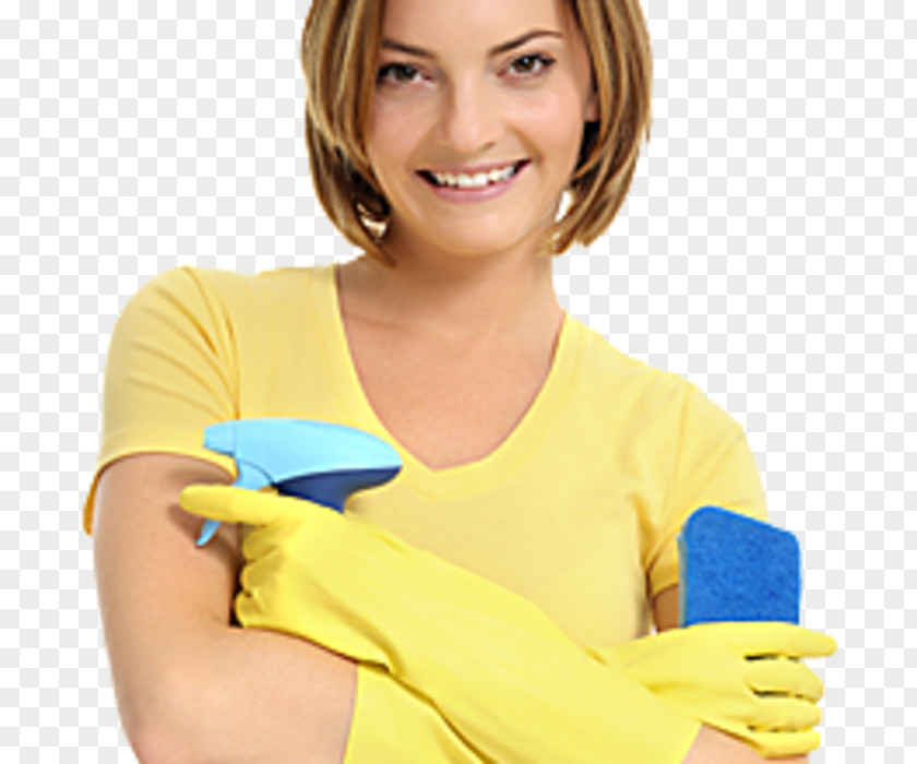 Woman Cleaner Cleaning Domestic Worker Housekeeping PNG
