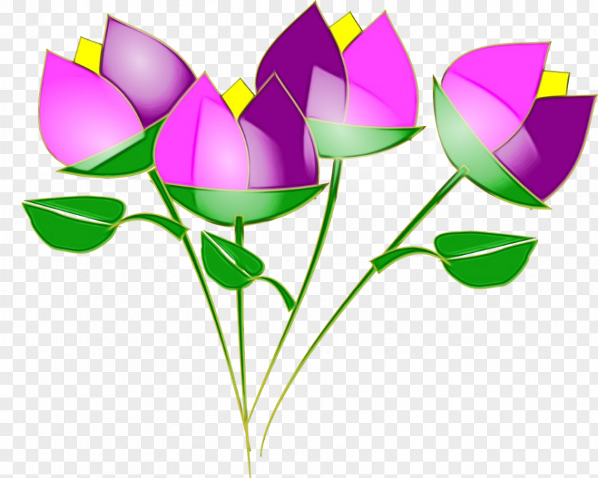 Clip Art Vector Graphics Drawing Lily PNG
